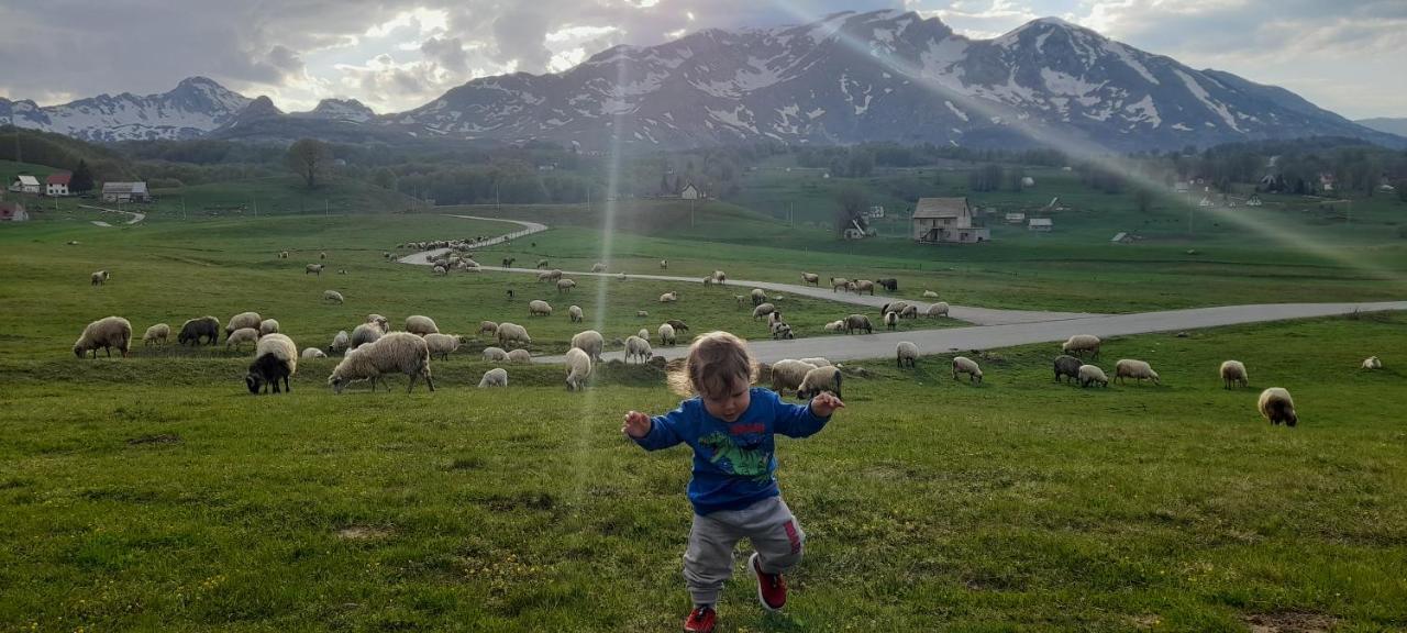 Organic Family Farm Hotel Zabljak  Ngoại thất bức ảnh