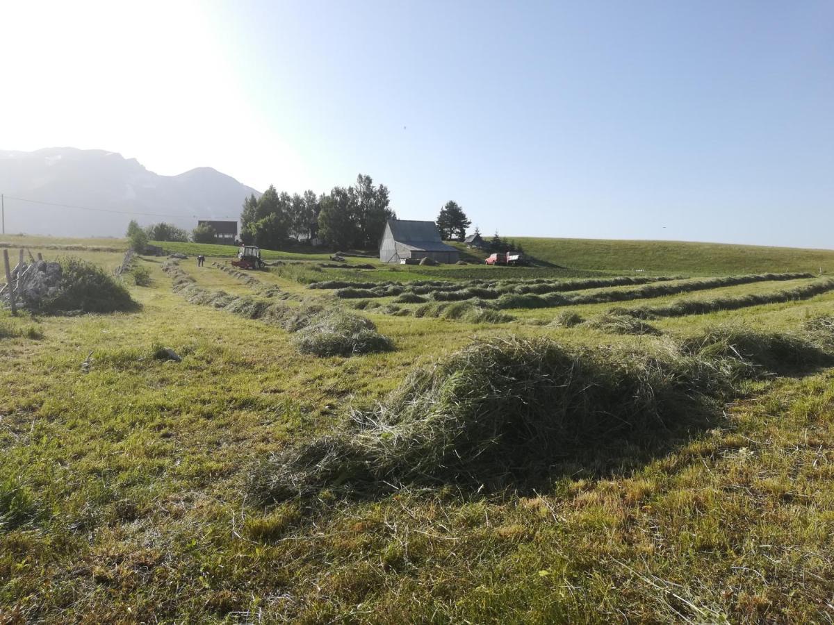 Organic Family Farm Hotel Zabljak  Ngoại thất bức ảnh
