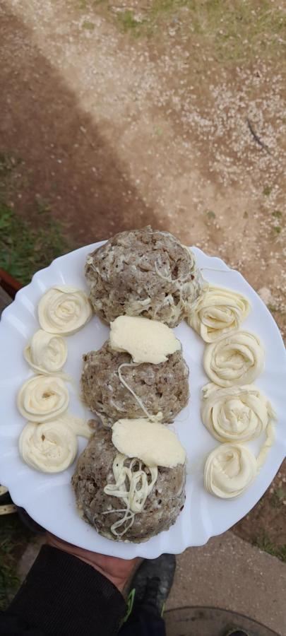 Organic Family Farm Hotel Zabljak  Ngoại thất bức ảnh