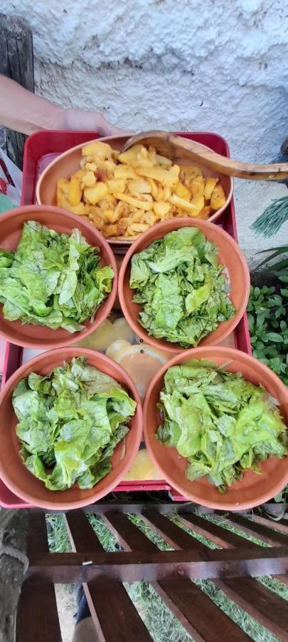 Organic Family Farm Hotel Zabljak  Ngoại thất bức ảnh